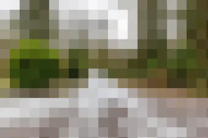 Hoogte der Heide 10 5 Gasselte thumbnail 64