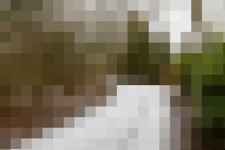Hoogte der Heide 10 5 Gasselte thumbnail 65