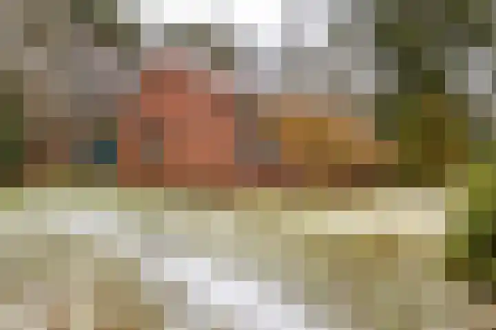 Hoogte der Heide 10 5 Gasselte thumbnail 8