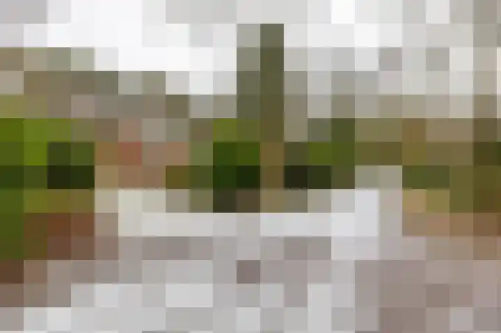Hoogte der Heide 10 5 Gasselte thumbnail 9
