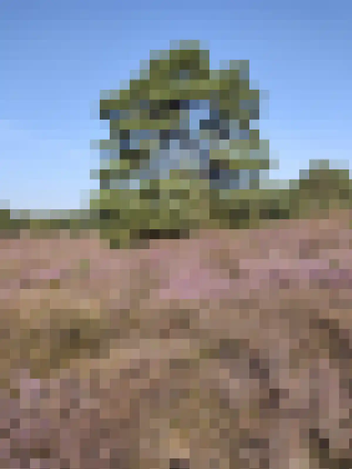 Hoogte der Heide 10 6 Gasselte thumbnail 17