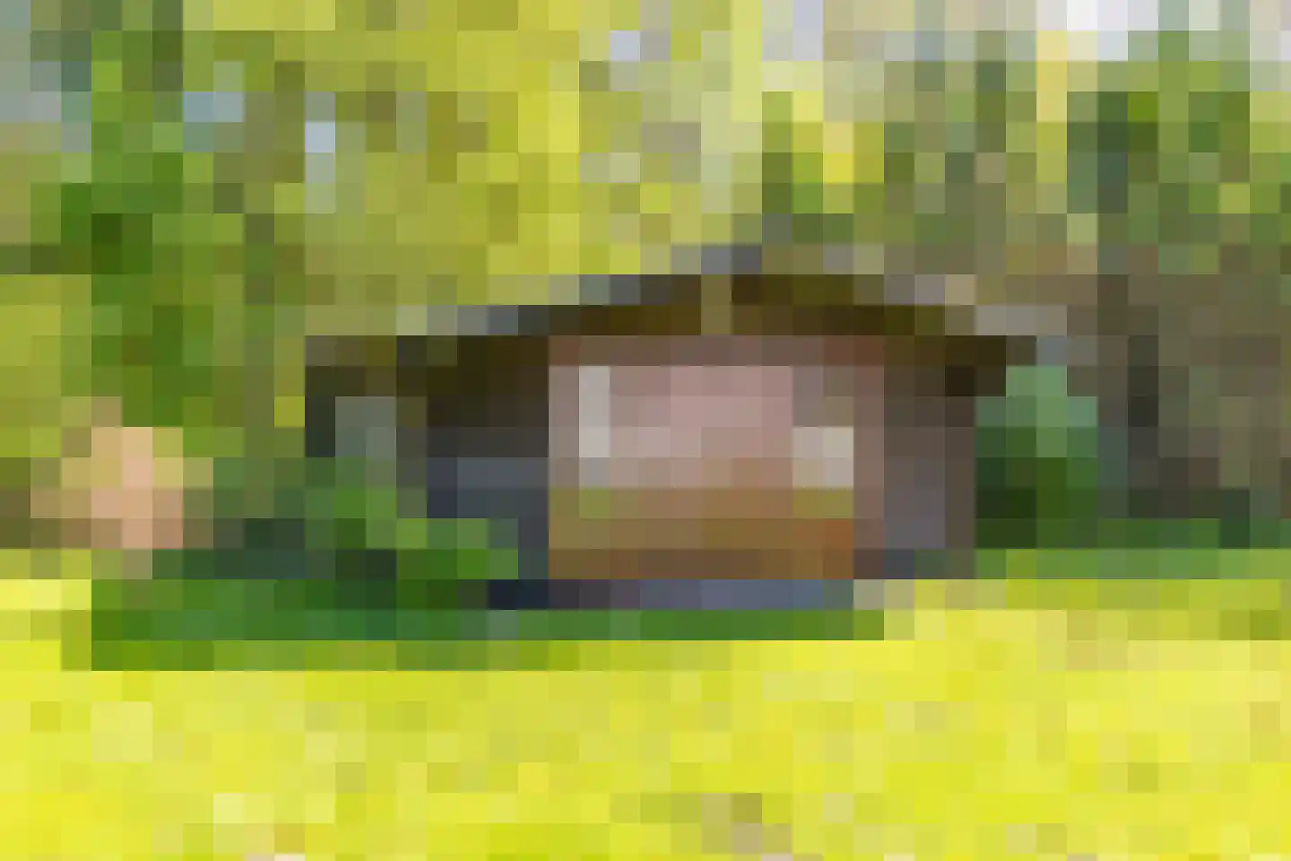 Hoogte der Heide 10 6 Gasselte thumbnail 19