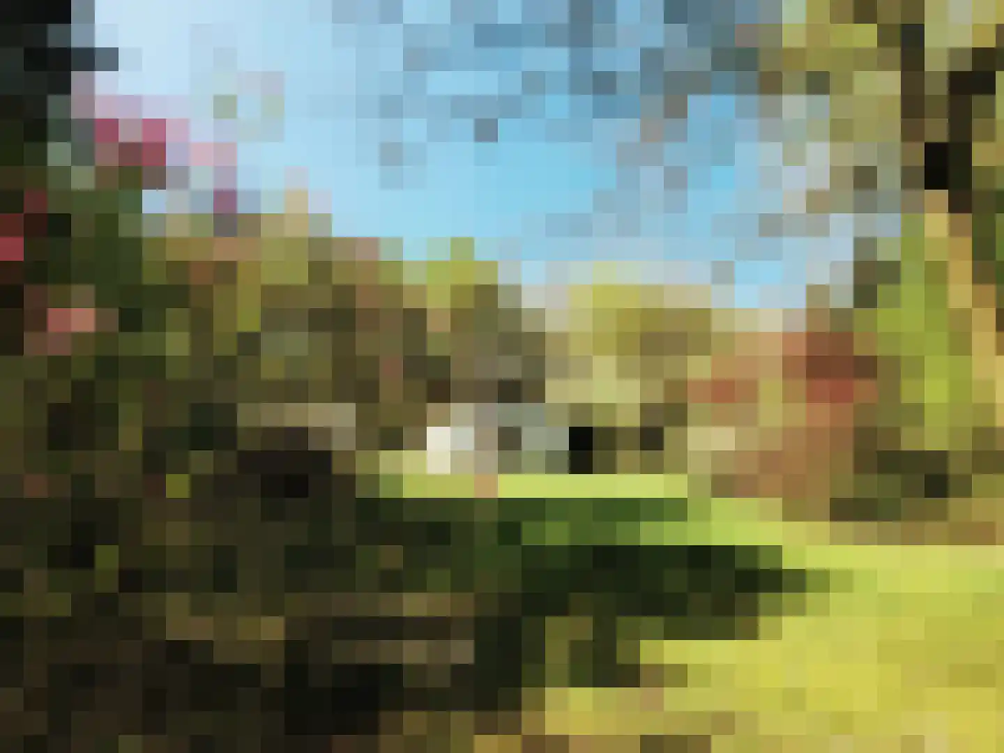 Hoogte der Heide 10 6 Gasselte foto 2