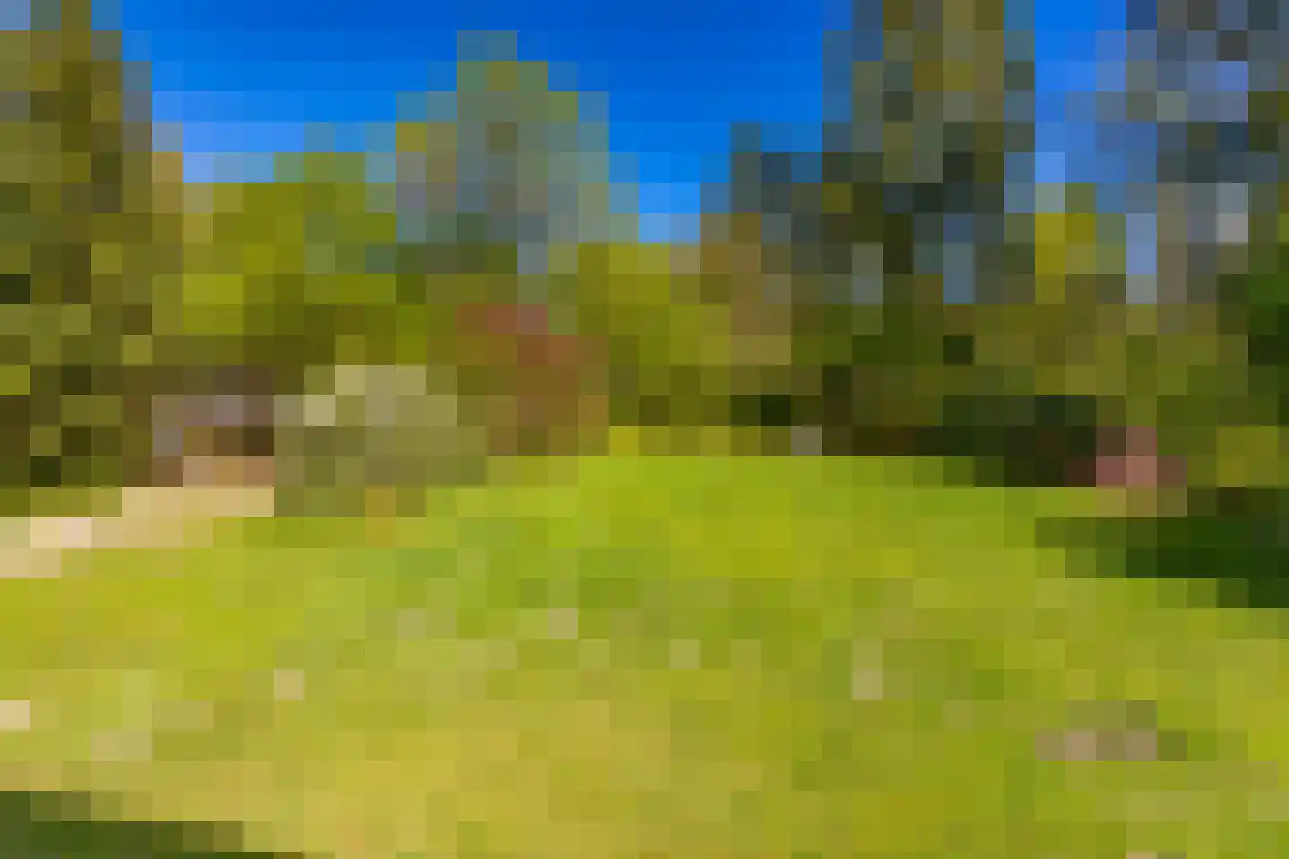 Hoogte der Heide 10 6 Gasselte thumbnail 20