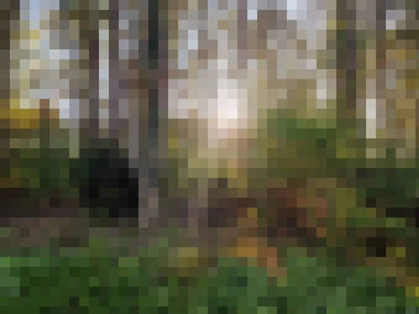 Hoogte der Heide 10 6 Gasselte thumbnail 21