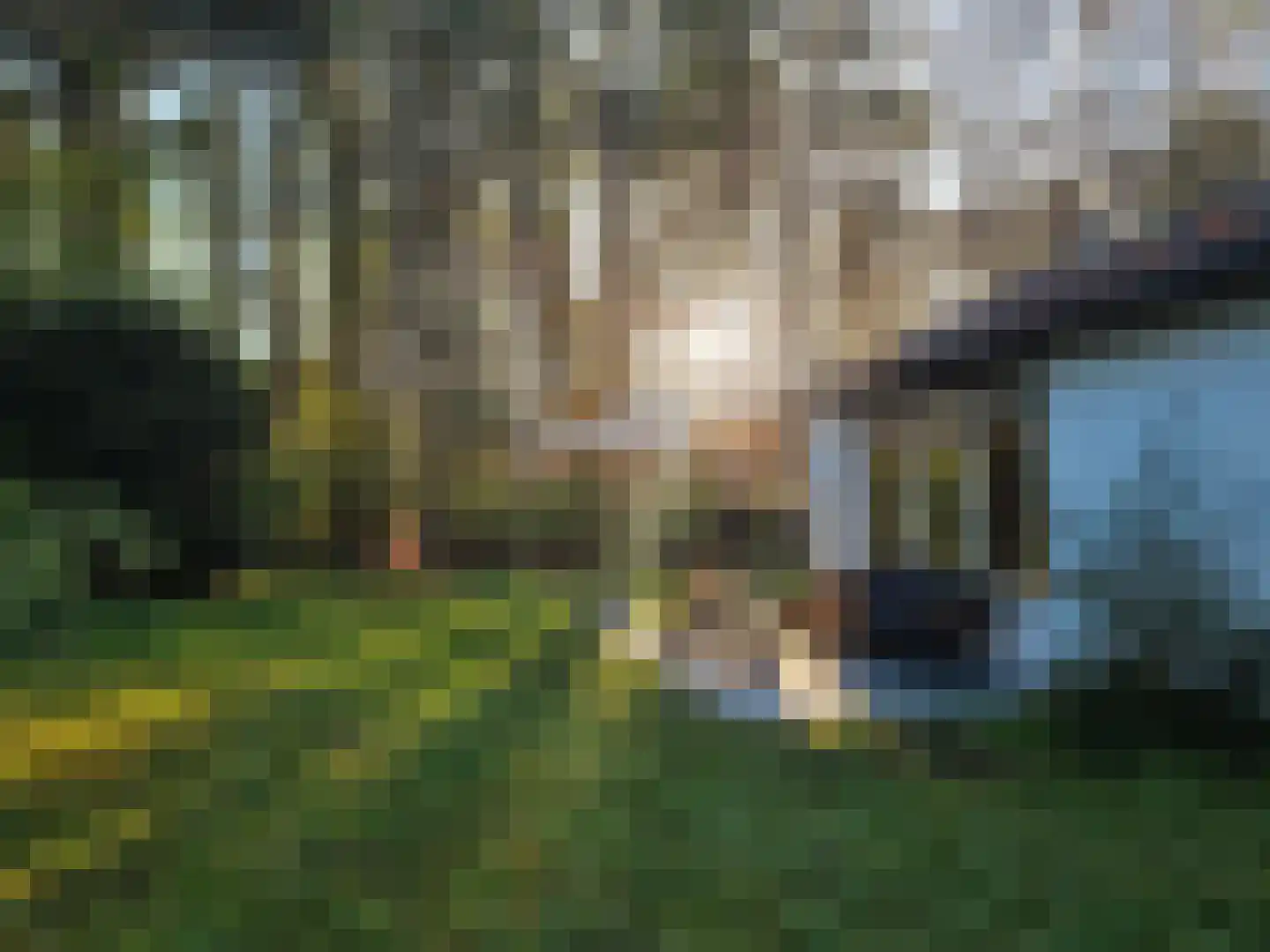 Hoogte der Heide 10 6 Gasselte thumbnail 23