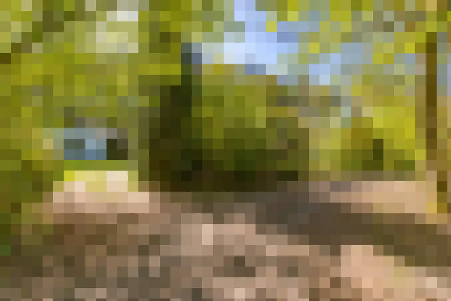 Hoogte der Heide 10 6 Gasselte thumbnail 25