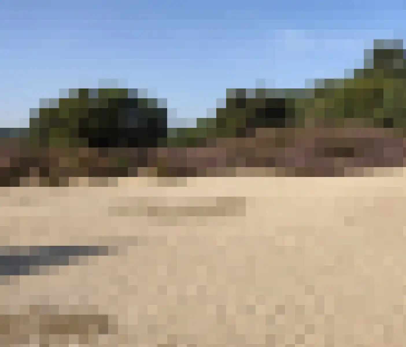 Hoogte der Heide 10 6 Gasselte thumbnail 4