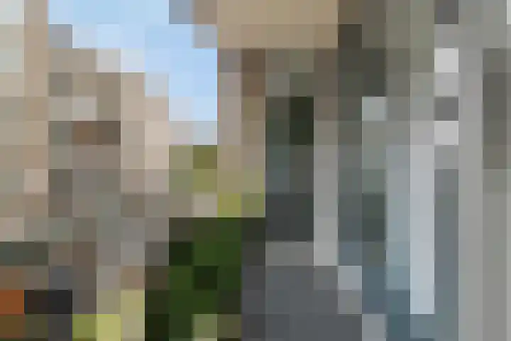 Hoogte Kadijk 108 E Amsterdam thumbnail 27