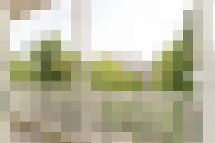 Hoogte Kadijk 129 2 Amsterdam thumbnail 18