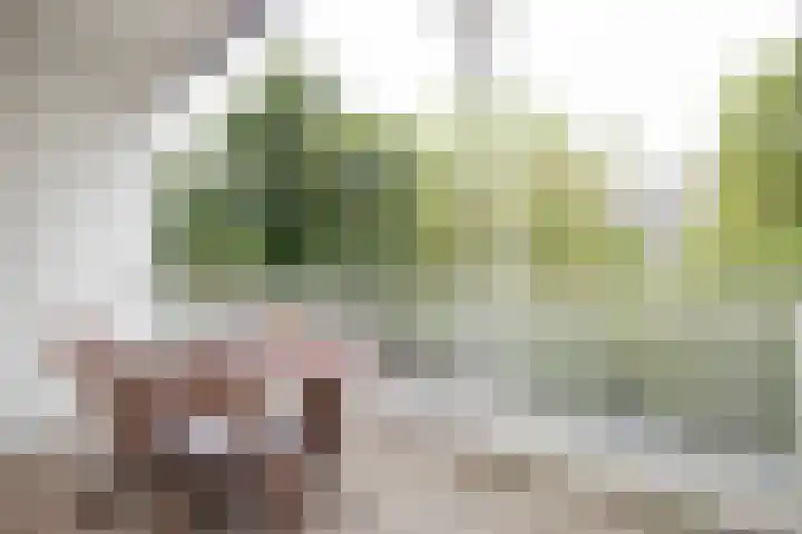 Hoogte Kadijk 129 2 Amsterdam thumbnail 42