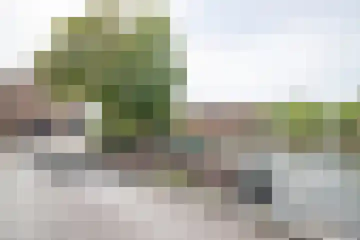 Hoogte Kadijk 129 2 Amsterdam thumbnail 47