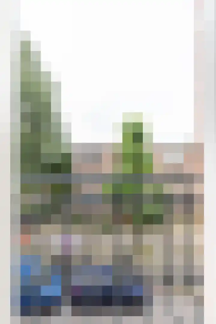 Hoogte Kadijk 129 2 Amsterdam thumbnail 7