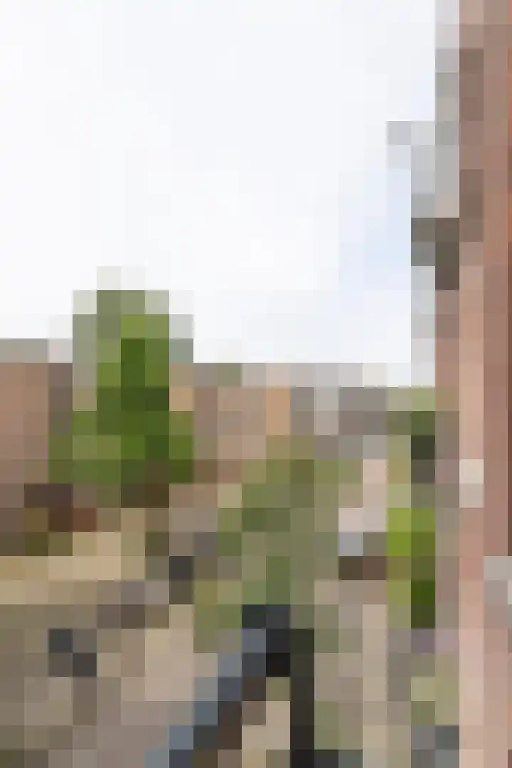 Hoogte Kadijk 129 2 Amsterdam thumbnail 8