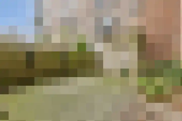 Hoogte Kadijk 143 B 3 Amsterdam thumbnail 13