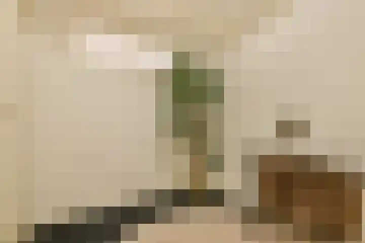 Hoogte Kadijk 143 B 3 Amsterdam thumbnail 18