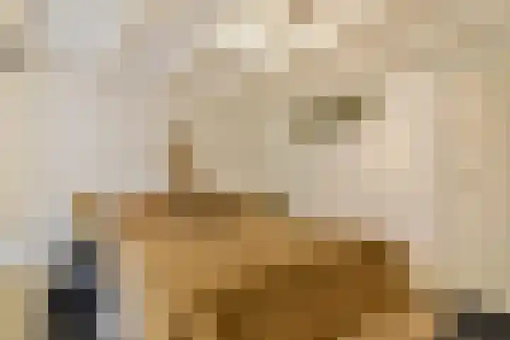 Hoogte Kadijk 143 B 3 Amsterdam thumbnail 22