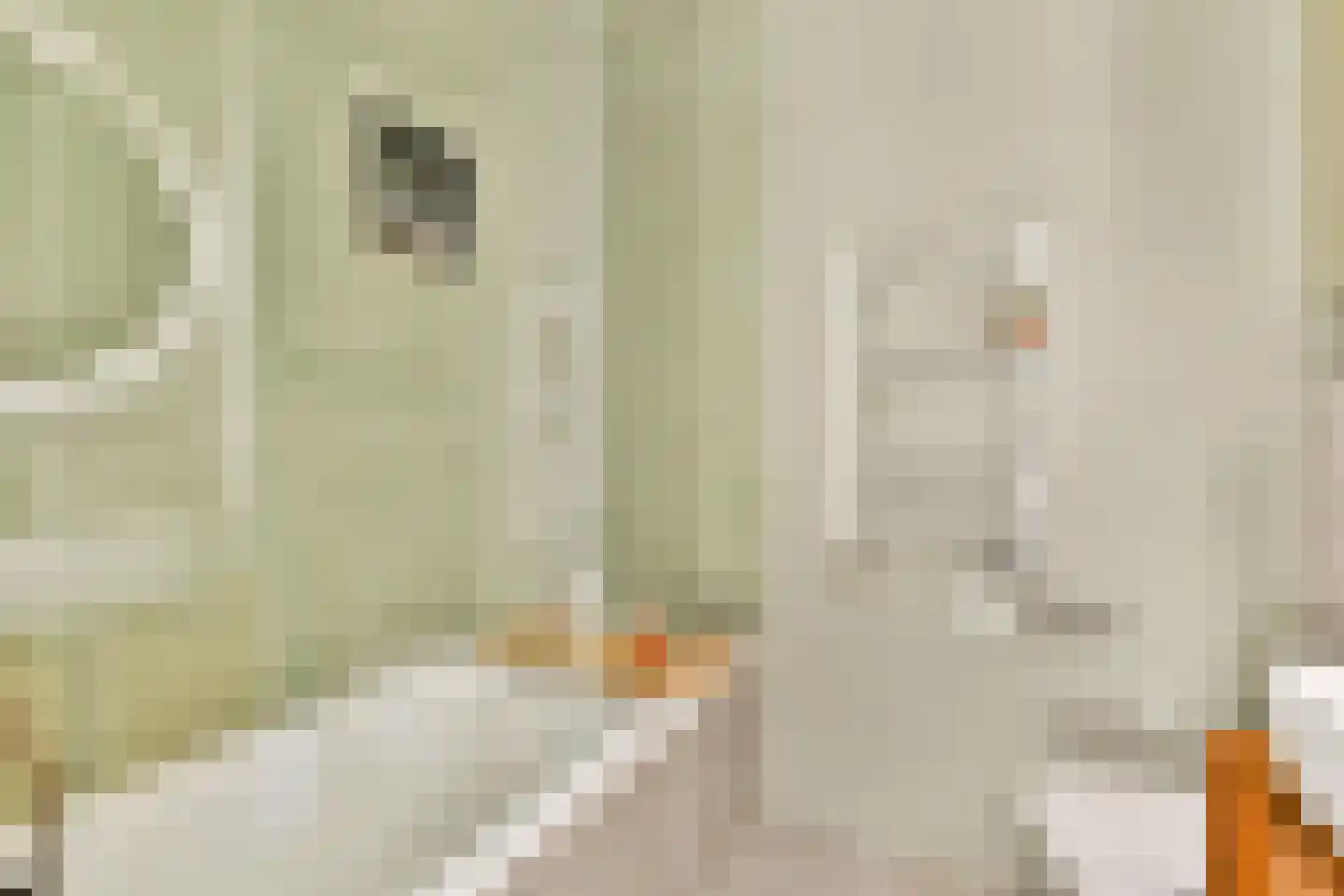 Hoogte Kadijk 69 K Amsterdam thumbnail 10