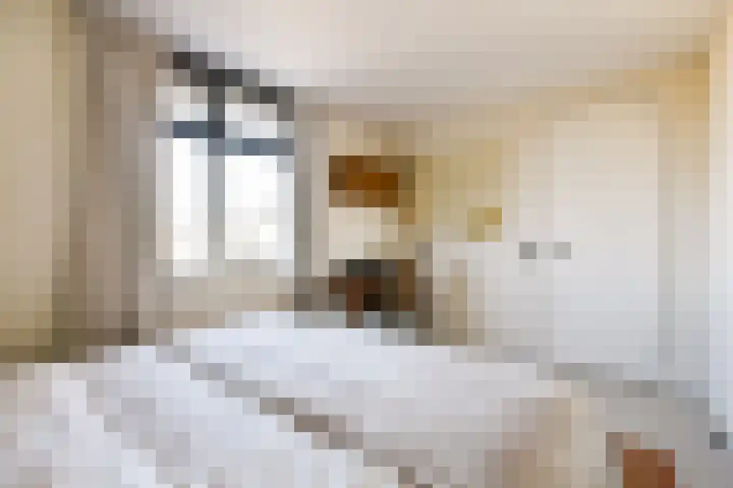 Hoogte Kadijk 69 K Amsterdam thumbnail 14