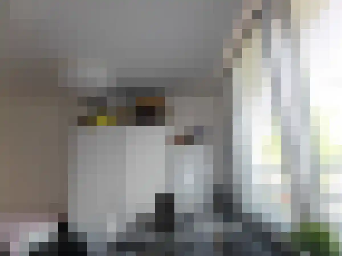 Hoogtedwarsstraat 2 Tilburg thumbnail 4