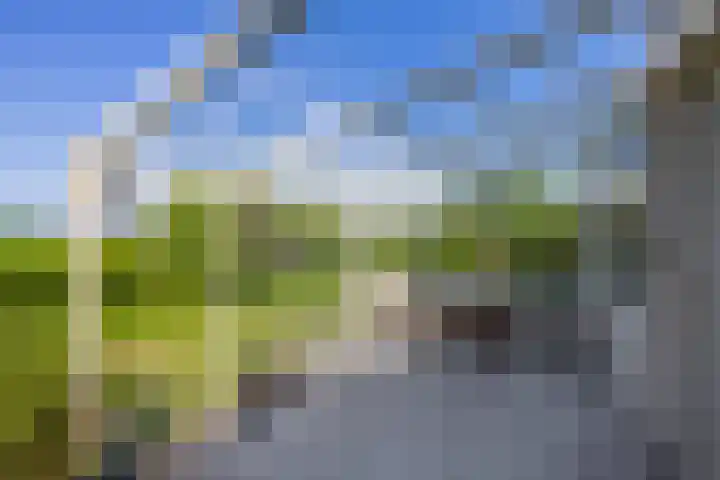 Hoogtij 163 Noordwijk thumbnail 32