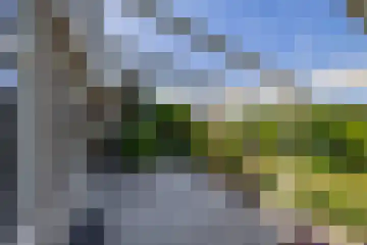 Hoogtij 163 Noordwijk thumbnail 33