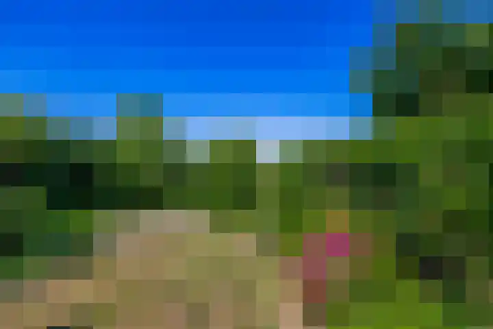 Hoogtij 163 Noordwijk thumbnail 36