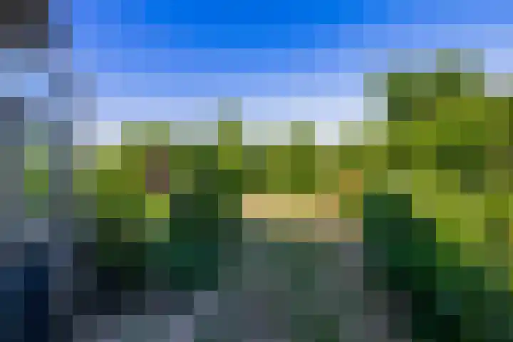 Hoogtij 163 Noordwijk thumbnail 37