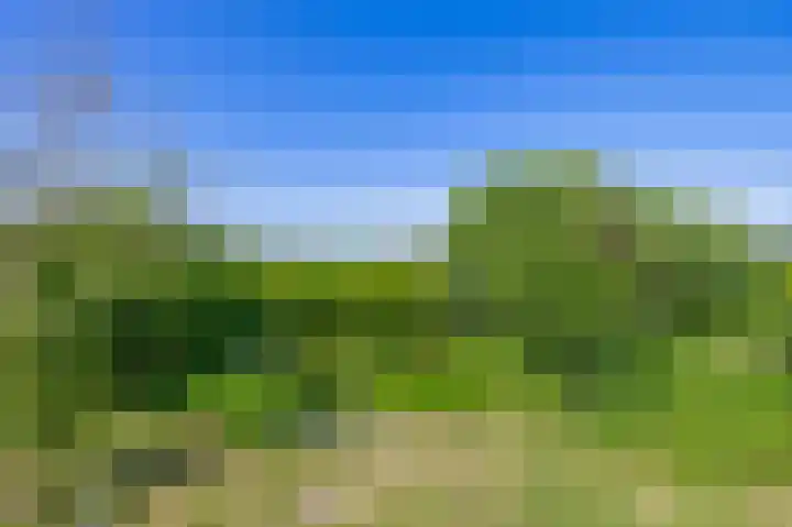 Hoogtij 163 Noordwijk thumbnail 38