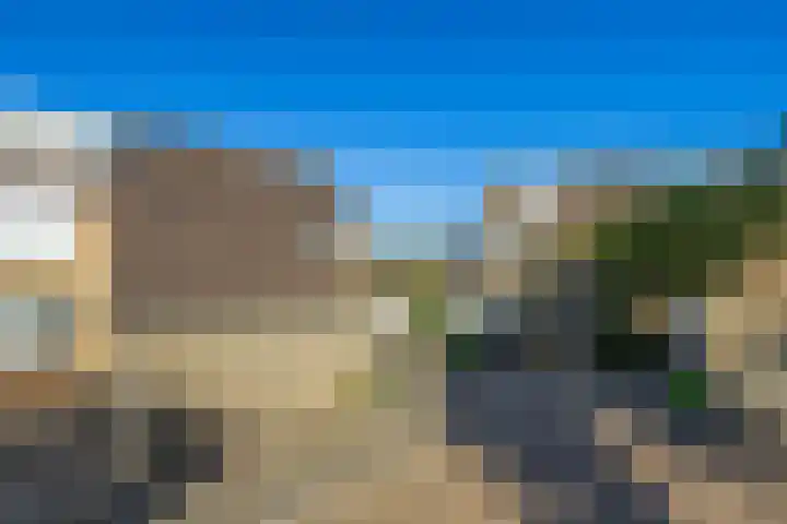 Hoogtij 163 Noordwijk thumbnail 41