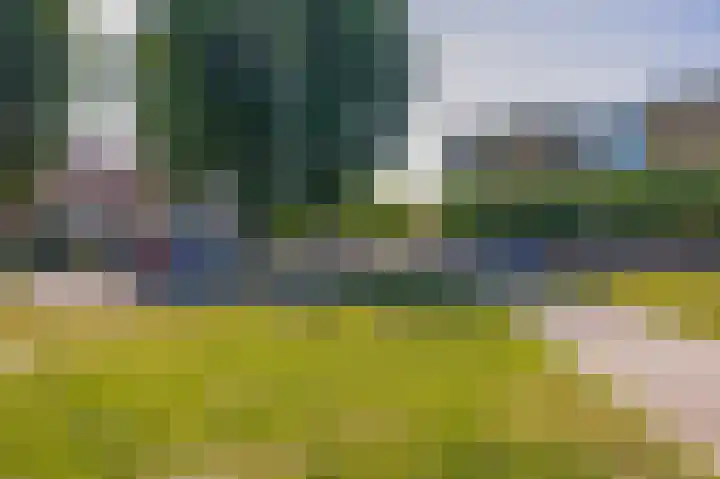 Hoogtij 163 Noordwijk thumbnail 43
