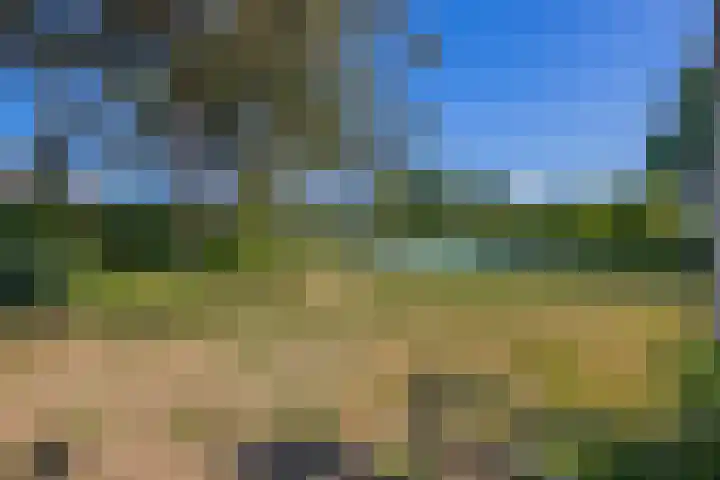 Hoogtij 163 Noordwijk thumbnail 44