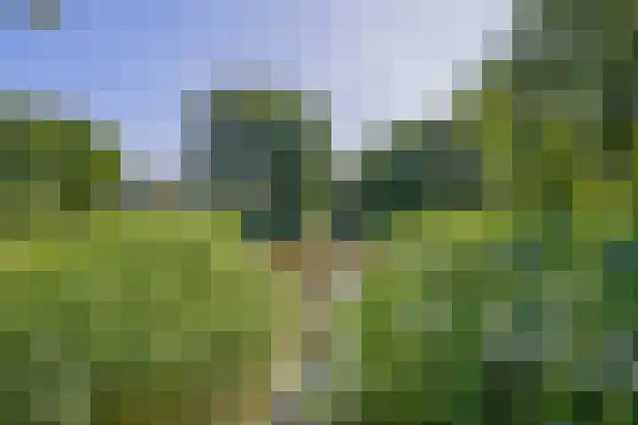 Hoogtij 163 Noordwijk thumbnail 45