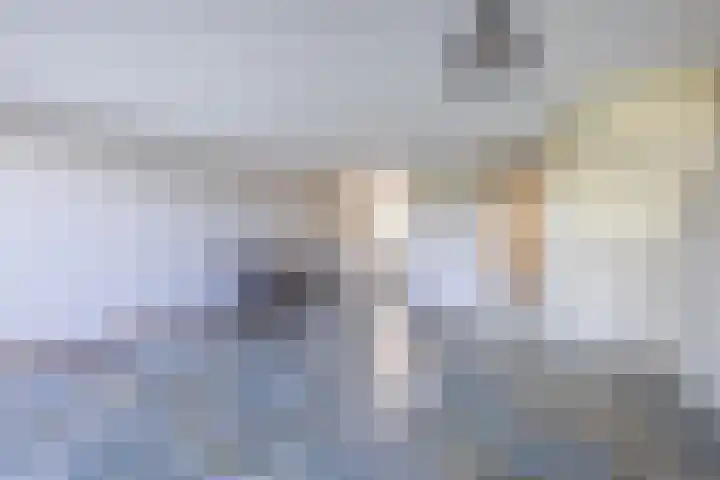 Hoogtij 163 Noordwijk thumbnail 5