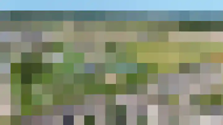 Hoogtij 163 Noordwijk thumbnail 50