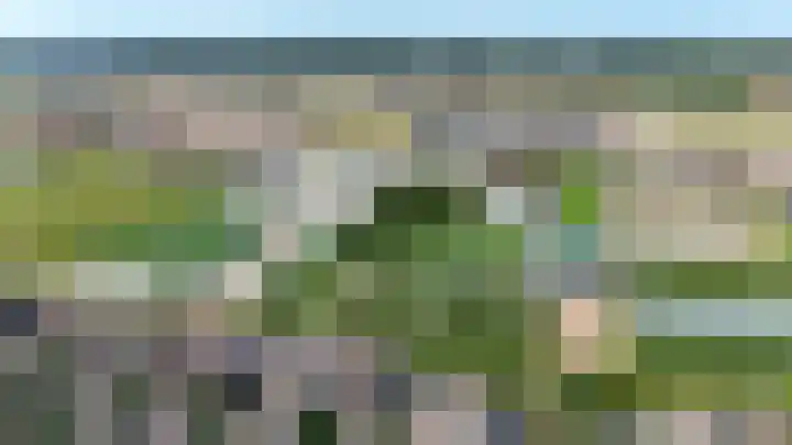 Hoogtij 163 Noordwijk thumbnail 51