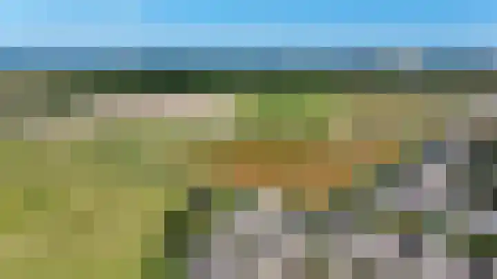 Hoogtij 163 Noordwijk thumbnail 54