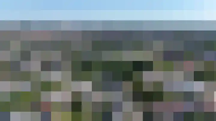 Hoogtij 163 Noordwijk thumbnail 55