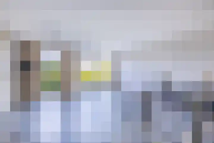 Hoogtij 163 Noordwijk thumbnail 6