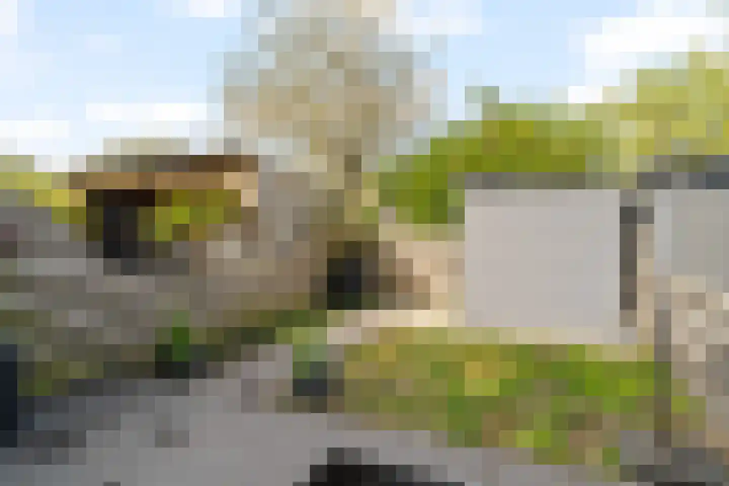 Hoogtij 185 Noordwijk thumbnail 17