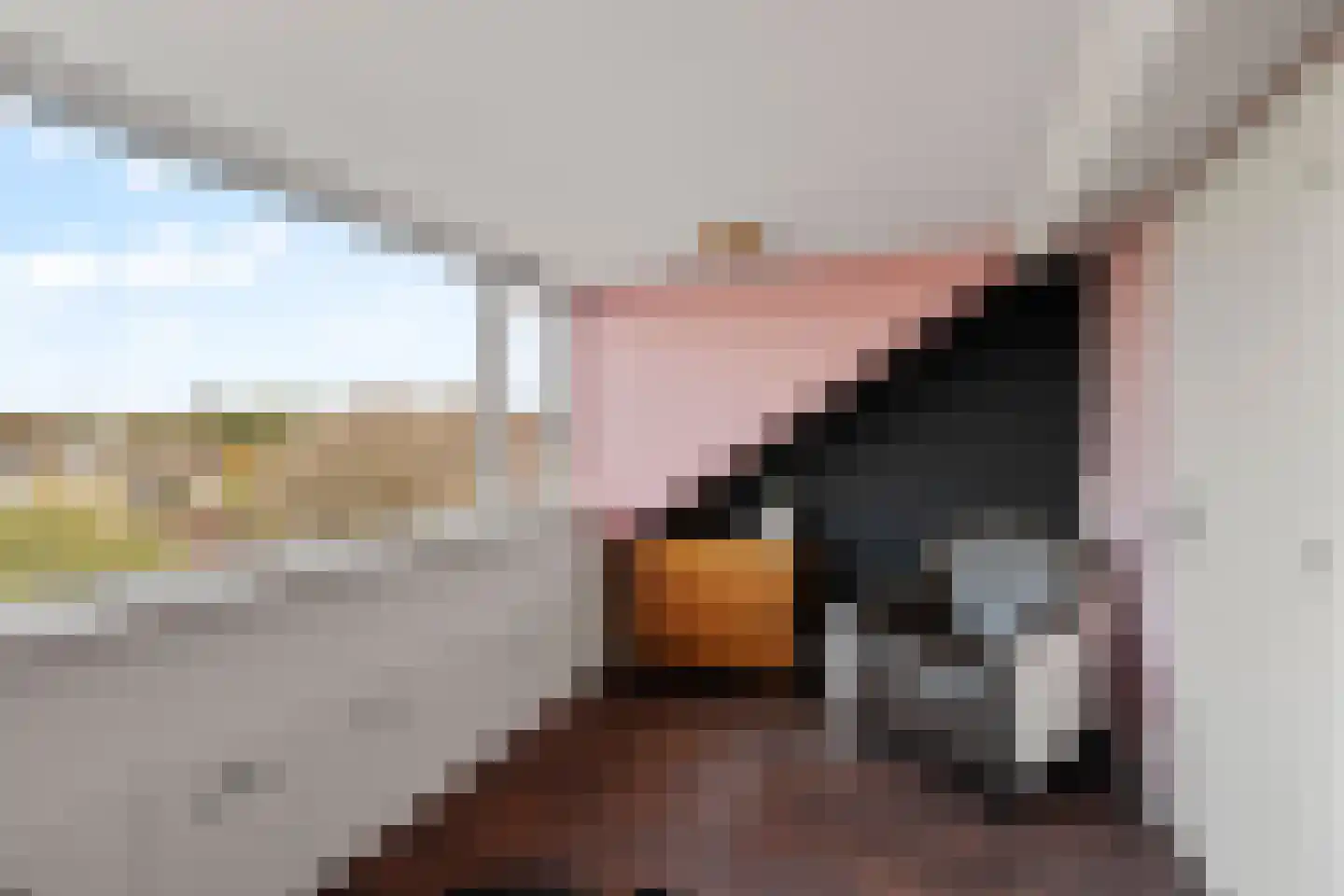 Hoogtij 185 Noordwijk thumbnail 30