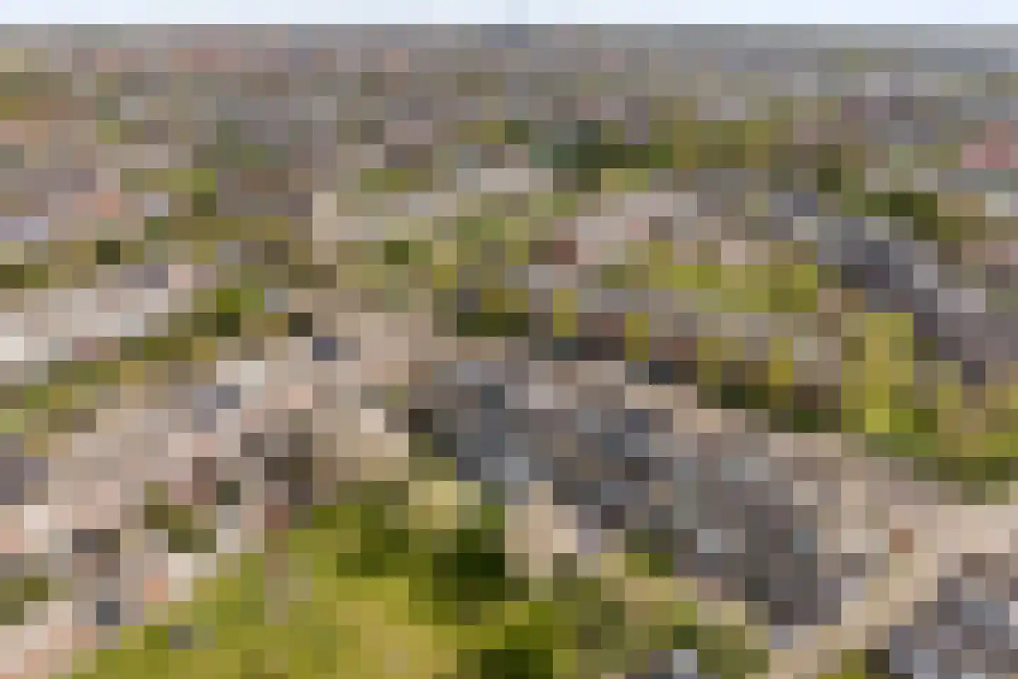 Hoogtij 185 Noordwijk thumbnail 32