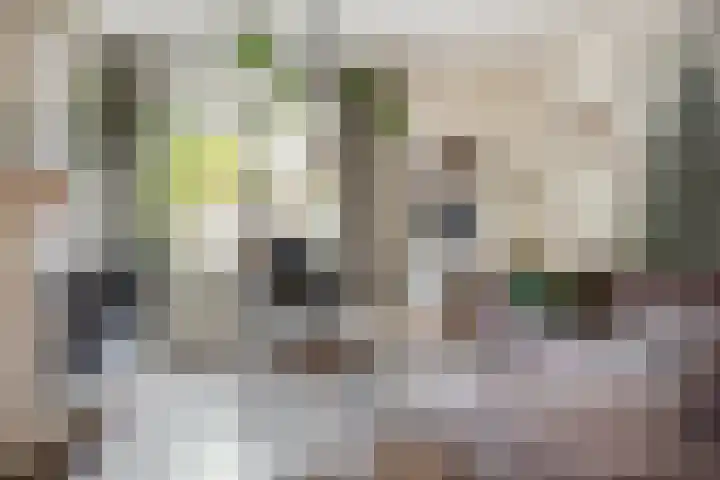 Hoogtstraat 26 Hendrik-Ido-Ambacht thumbnail 6