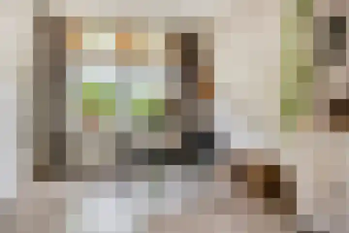 Hoogtstraat 26 Hendrik-Ido-Ambacht thumbnail 8