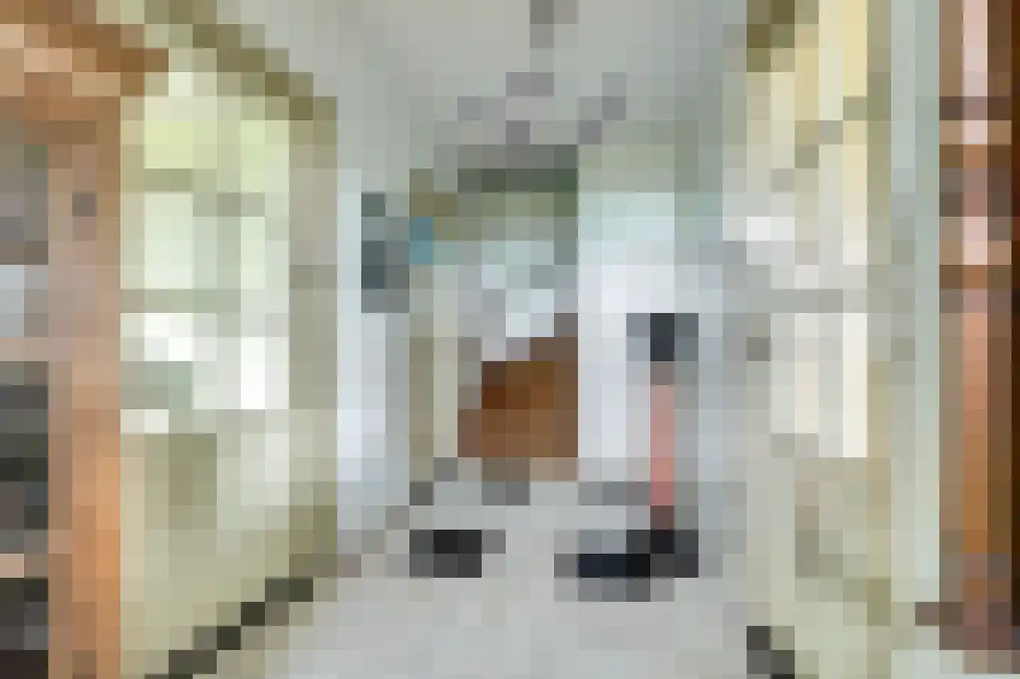 Hoogveld 1 Oploo thumbnail 12