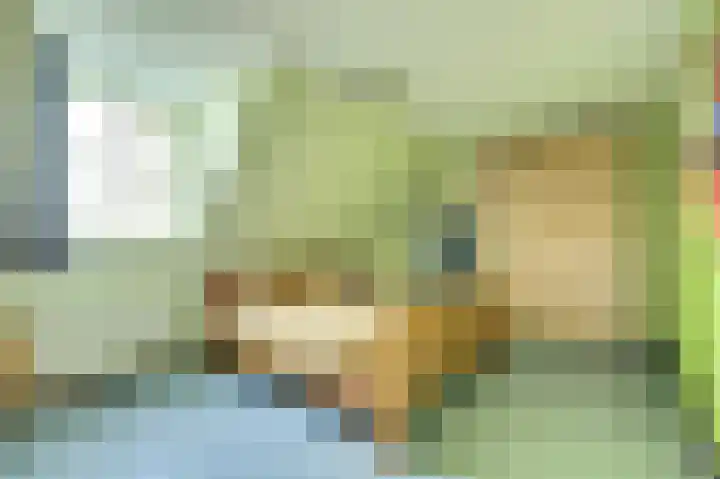 Hoogveld 1 Oploo thumbnail 29