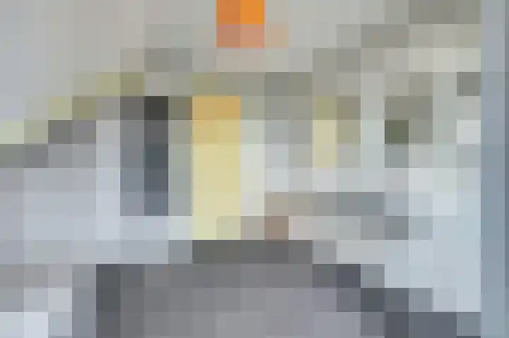 Hoogveld 1 Oploo thumbnail 36