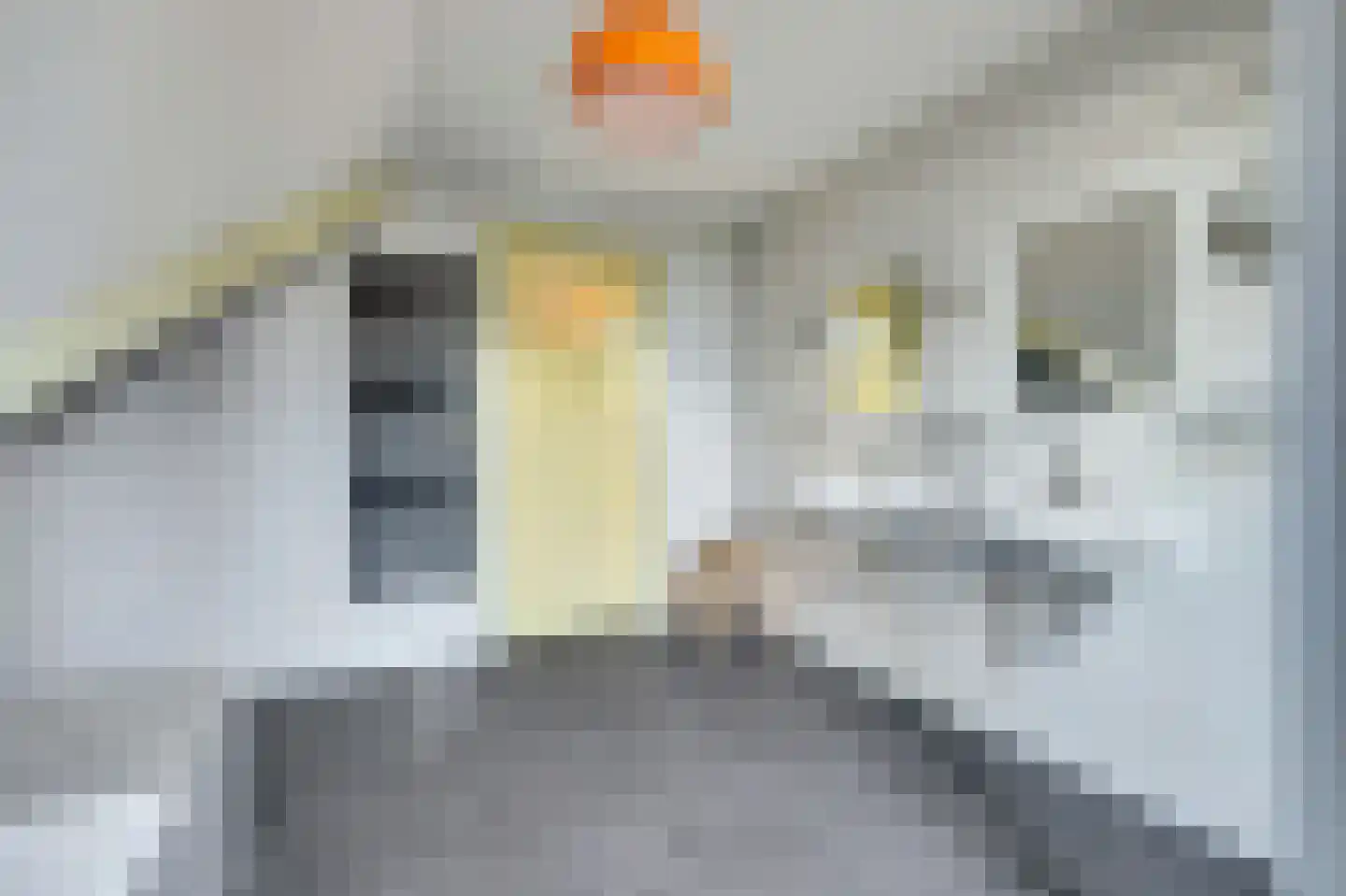 Hoogveld 1 Oploo thumbnail 36