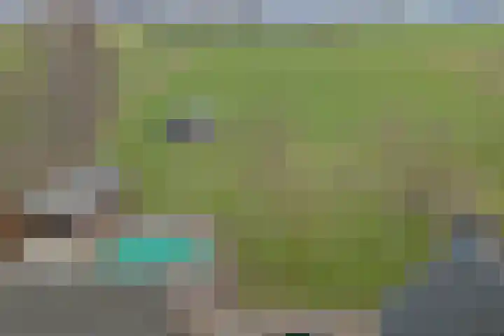 Hoogveld 1 Oploo thumbnail 40