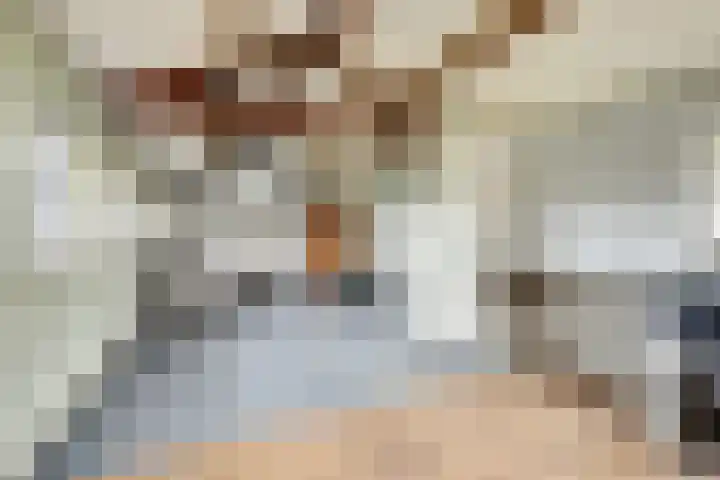 Hoogveld 1 Oploo thumbnail 42